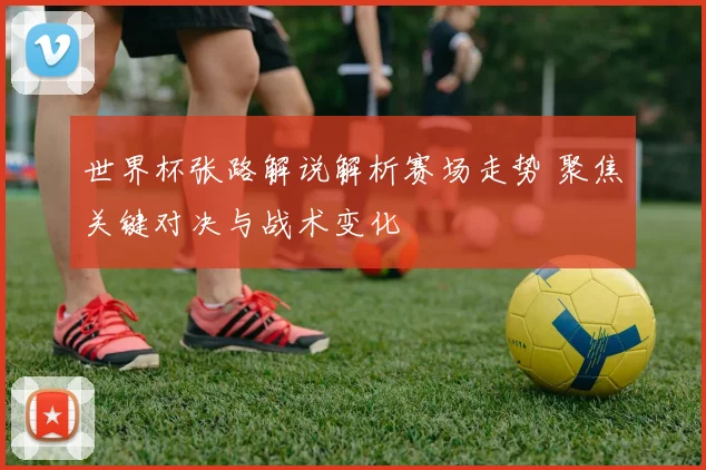 世界杯张路解说解析赛场走势 聚焦关键对决与战术变化