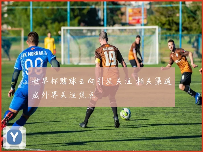 世界杯赌球去向引发关注 相关渠道成外界关注焦点