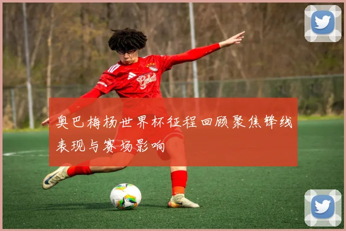 奥巴梅杨世界杯征程回顾聚焦锋线表现与赛场影响